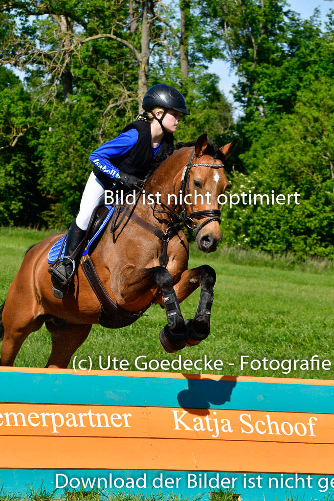 Goldene Schärpe Ponys in Hohen Luckow 1-4.6.23 | 04062023 Isabell Burghard - Contigo de Luxe_02 