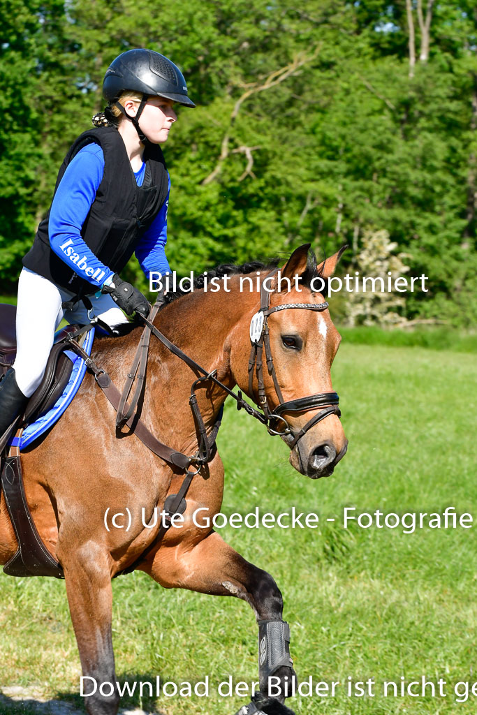 Goldene Schärpe Ponys in Hohen Luckow 1-4.6.23 | 04062023 Isabell Burghard - Contigo de Luxe_03 