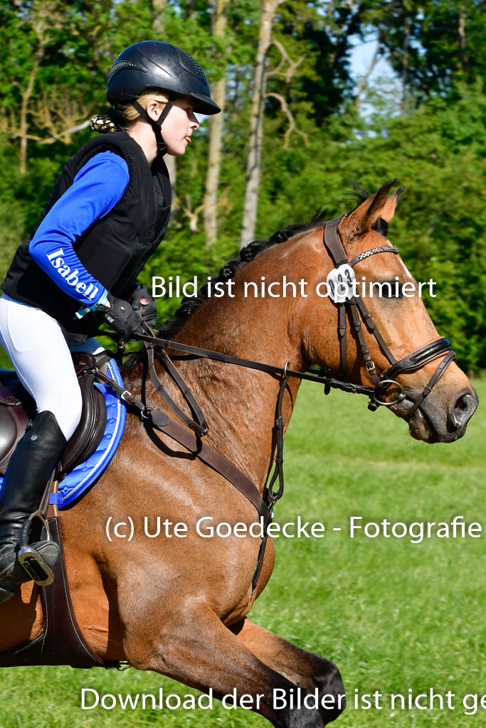 Goldene Schärpe Ponys in Hohen Luckow 1-4.6.23 | 04062023 Isabell Burghard - Contigo de Luxe_04 