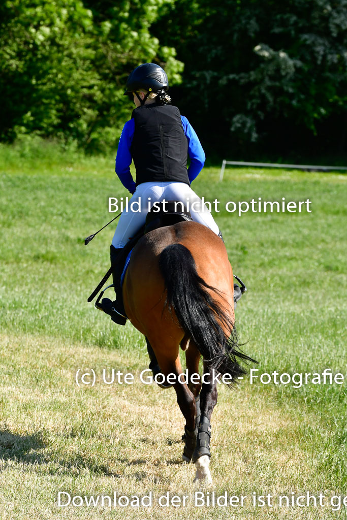 Goldene Schärpe Ponys in Hohen Luckow 1-4.6.23 | 04062023 Isabell Burghard - Contigo de Luxe_05 