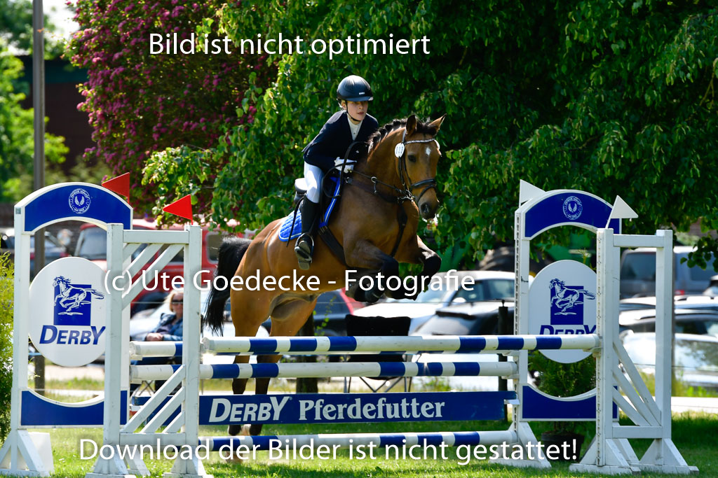 Goldene Schärpe Ponys in Hohen Luckow 1-4.6.23 | 04062023 Isabell Burghard - Contigo de Luxe_13 