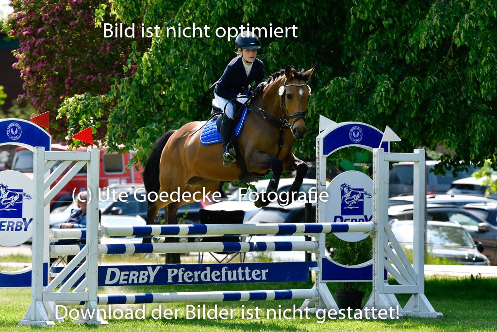 Goldene Schärpe Ponys in Hohen Luckow 1-4.6.23 | 04062023 Isabell Burghard - Contigo de Luxe_14 