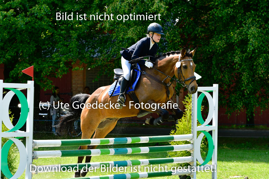 Goldene Schärpe Ponys in Hohen Luckow 1-4.6.23 | 04062023 Isabell Burghard - Contigo de Luxe_15 