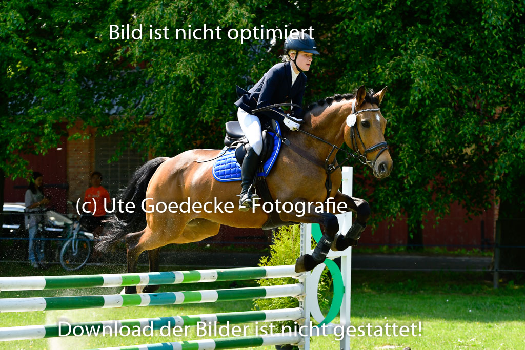 Goldene Schärpe Ponys in Hohen Luckow 1-4.6.23 | 04062023 Isabell Burghard - Contigo de Luxe_16 