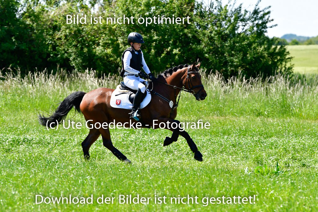 Goldene Schärpe Ponys in Hohen Luckow 1-4.6.23 | 04062023 Jacob Gäher - Weper_05