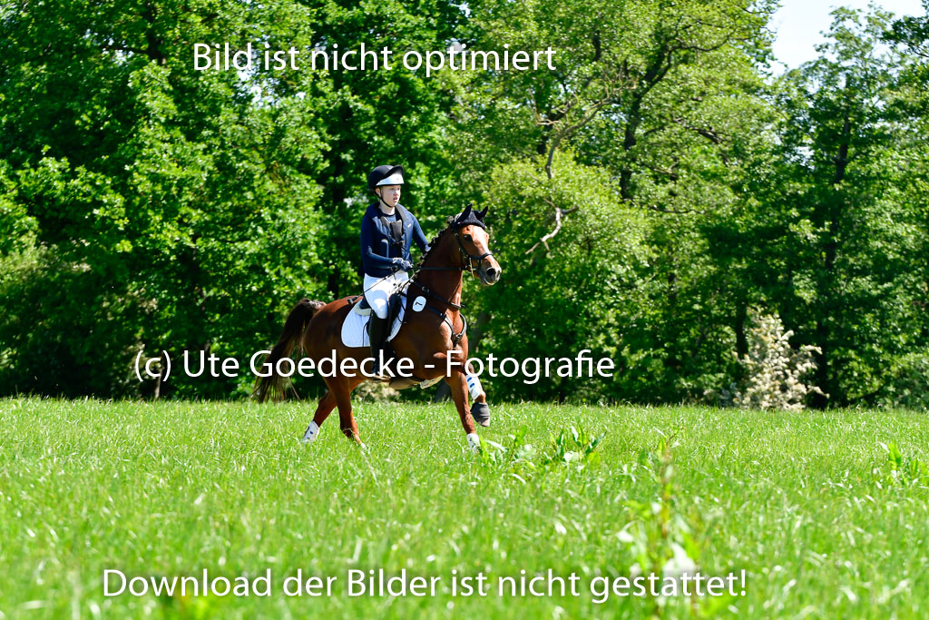 Goldene Schärpe Ponys in Hohen Luckow 1-4.6.23 | 04062023  Janna Marie Fennert - Bijou_05 