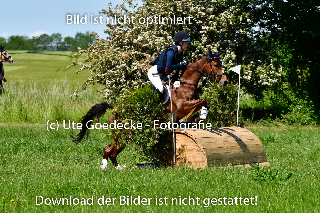 Goldene Schärpe Ponys in Hohen Luckow 1-4.6.23 | 04062023  Janna Marie Fennert - Bijou_10 