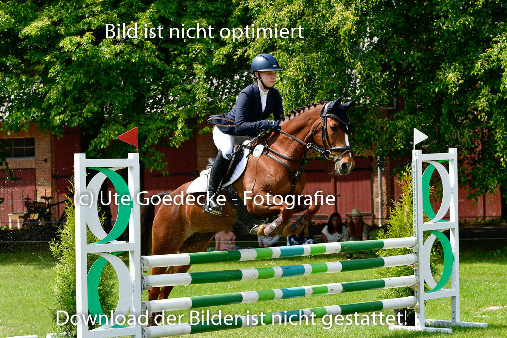 Goldene Schärpe Ponys in Hohen Luckow 1-4.6.23 | 04062023  Janna Marie Fennert - Bijou_21 