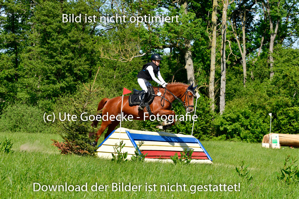 Goldene Schärpe Ponys in Hohen Luckow 1-4.6.23 | 04062023  Janne Stutzer - Kintao_06 