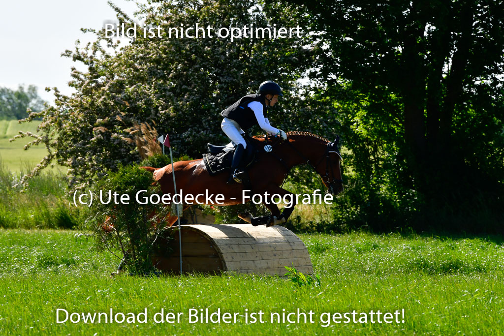 Goldene Schärpe Ponys in Hohen Luckow 1-4.6.23 | 04062023  Janne Stutzer - Kintao_08 