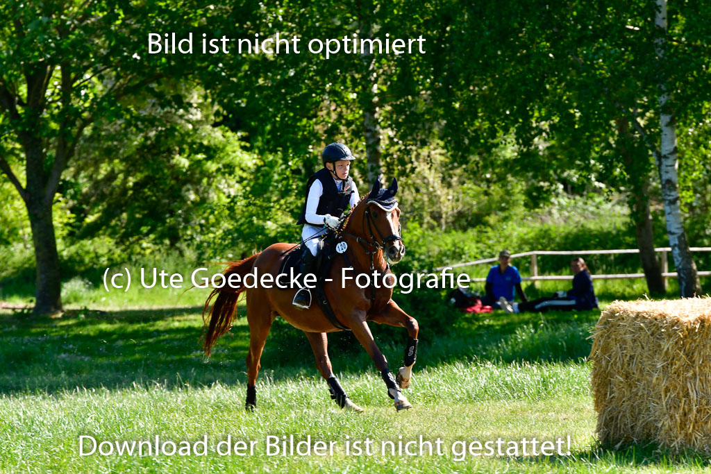 Goldene Schärpe Ponys in Hohen Luckow 1-4.6.23 | 04062023  Janne Stutzer - Kintao_09 