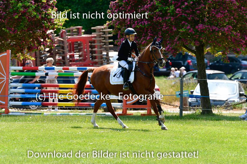 Goldene Schärpe Ponys in Hohen Luckow 1-4.6.23 | 04062023  Janne Stutzer - Kintao_18 