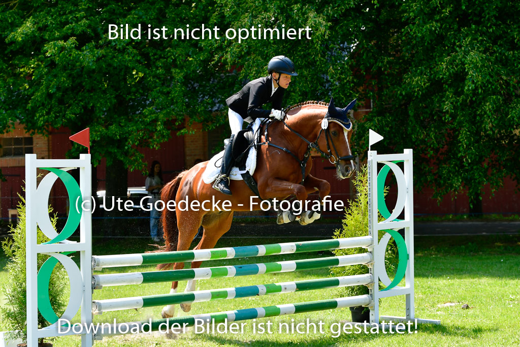 Goldene Schärpe Ponys in Hohen Luckow 1-4.6.23 | 04062023  Janne Stutzer - Kintao_19 