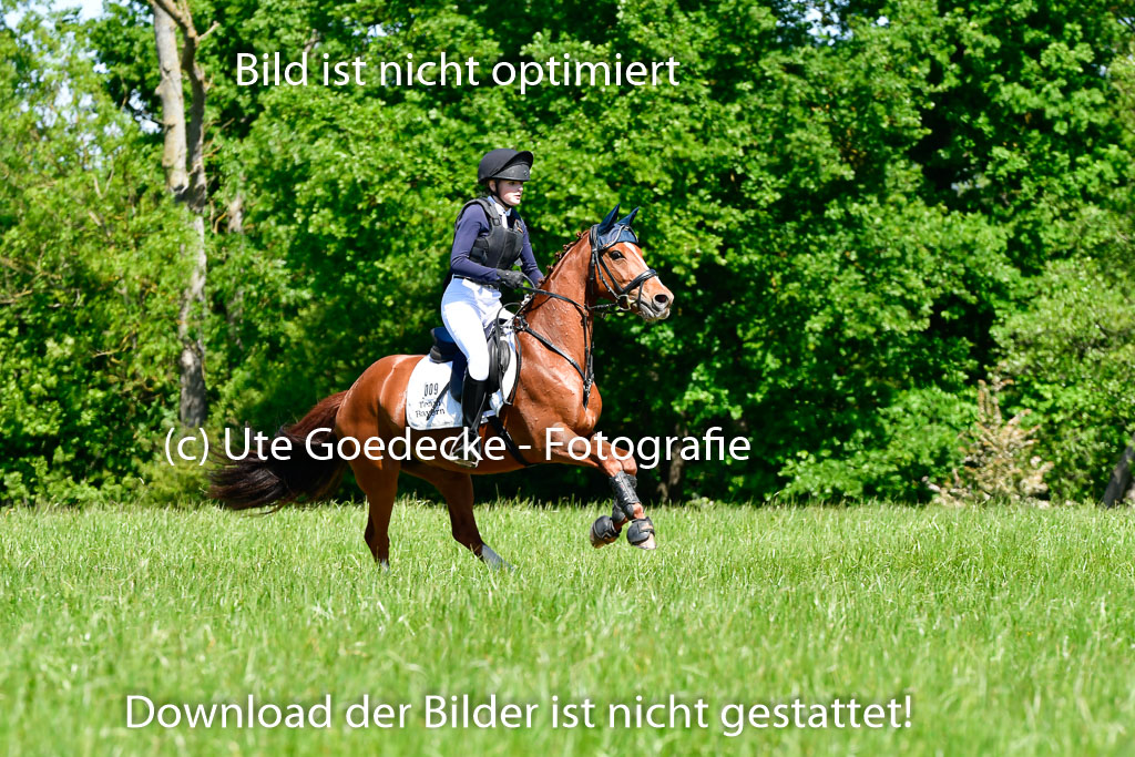 Goldene Schärpe Ponys in Hohen Luckow 1-4.6.23 | 04062023 Josefine Schroft -  Bo-Attella_04 