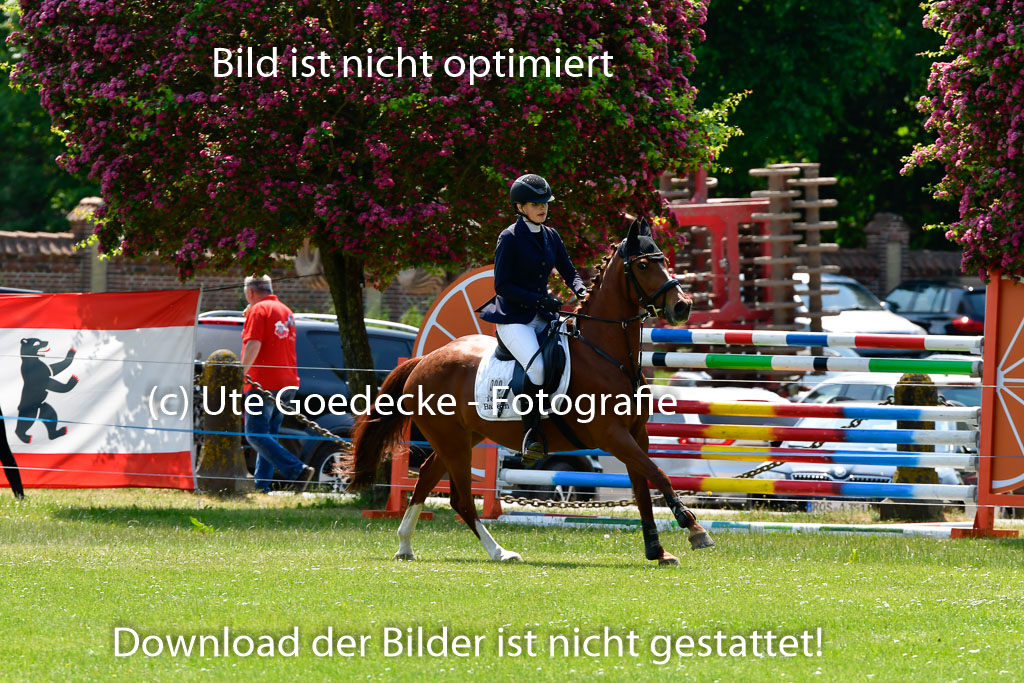 Goldene Schärpe Ponys in Hohen Luckow 1-4.6.23 | 04062023 Josefine Schroft -  Bo-Attella_18 