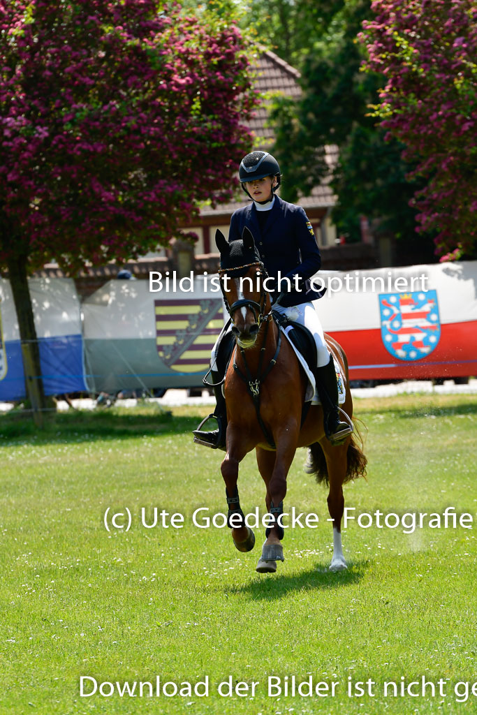 Goldene Schärpe Ponys in Hohen Luckow 1-4.6.23 | 04062023 Josefine Schroft -  Bo-Attella_23 