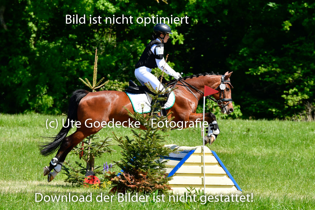 Goldene Schärpe Ponys in Hohen Luckow 1-4.6.23 | 04062023 Julia Reichel - Chalsey_02