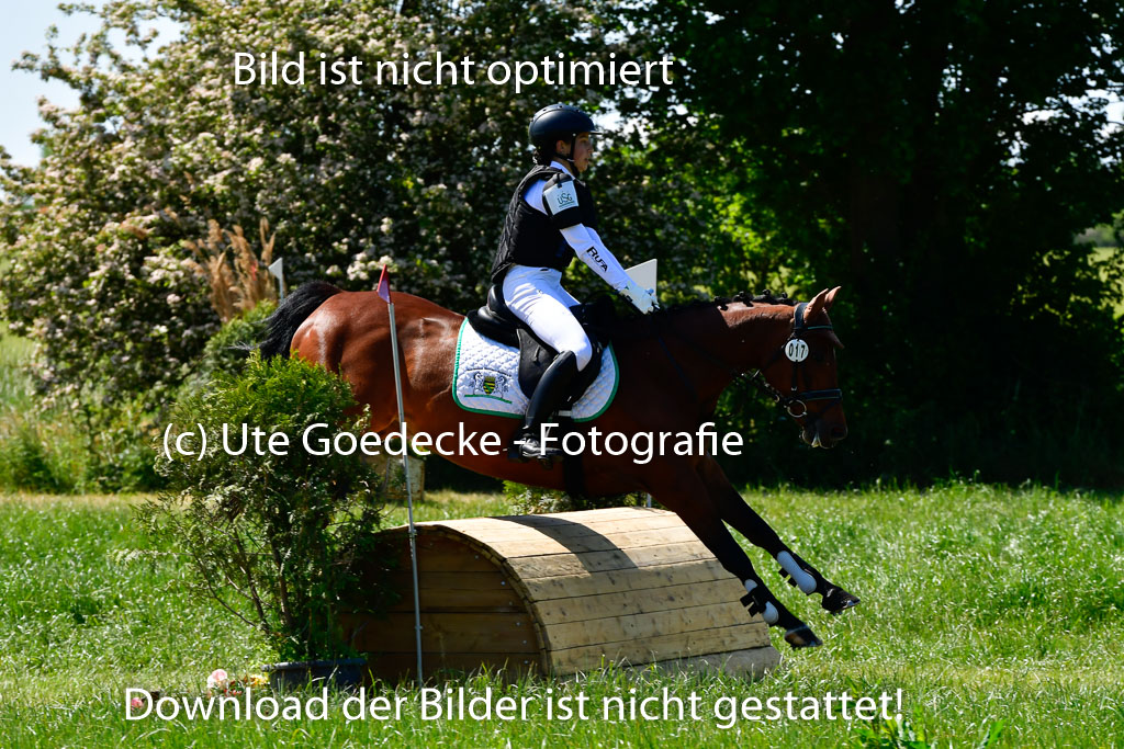 Goldene Schärpe Ponys in Hohen Luckow 1-4.6.23 | 04062023 Julia Reichel - Chalsey_05