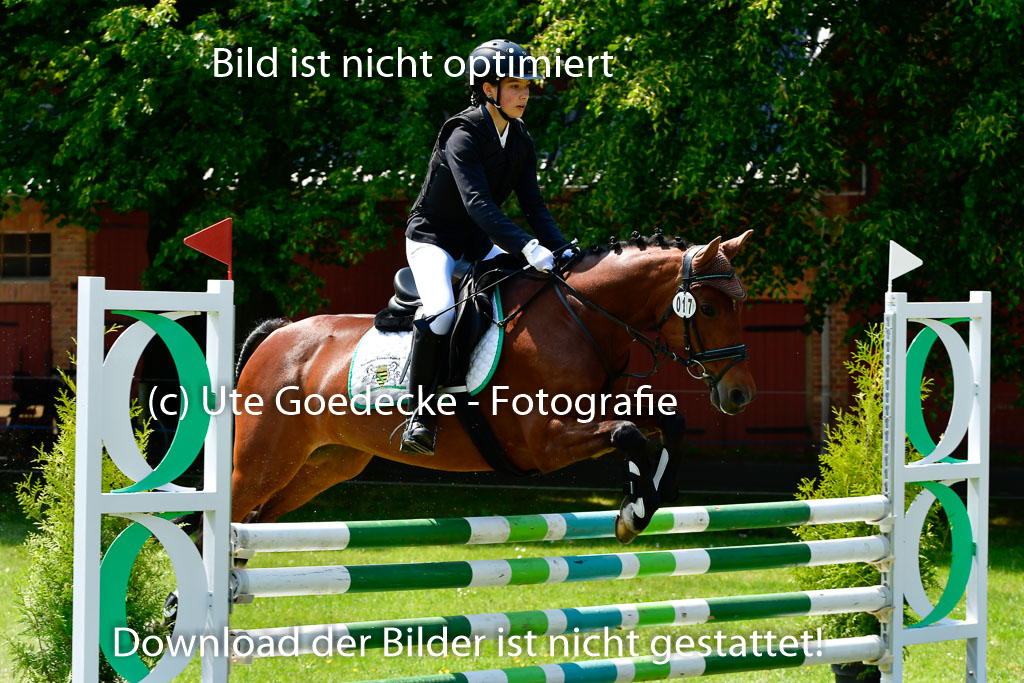 Goldene Schärpe Ponys in Hohen Luckow 1-4.6.23 | 04062023 Julia Reichel - Chalsey_09 