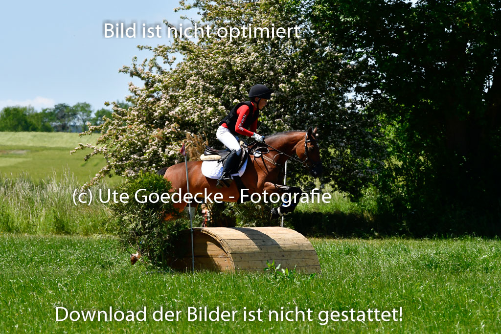 Goldene Schärpe Ponys in Hohen Luckow 1-4.6.23 | 04062023 Justus Hayessen - Triniti K_04