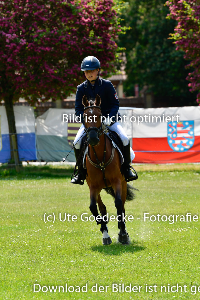 Goldene Schärpe Ponys in Hohen Luckow 1-4.6.23 | 04062023 Justus Hayessen - Triniti K_18 