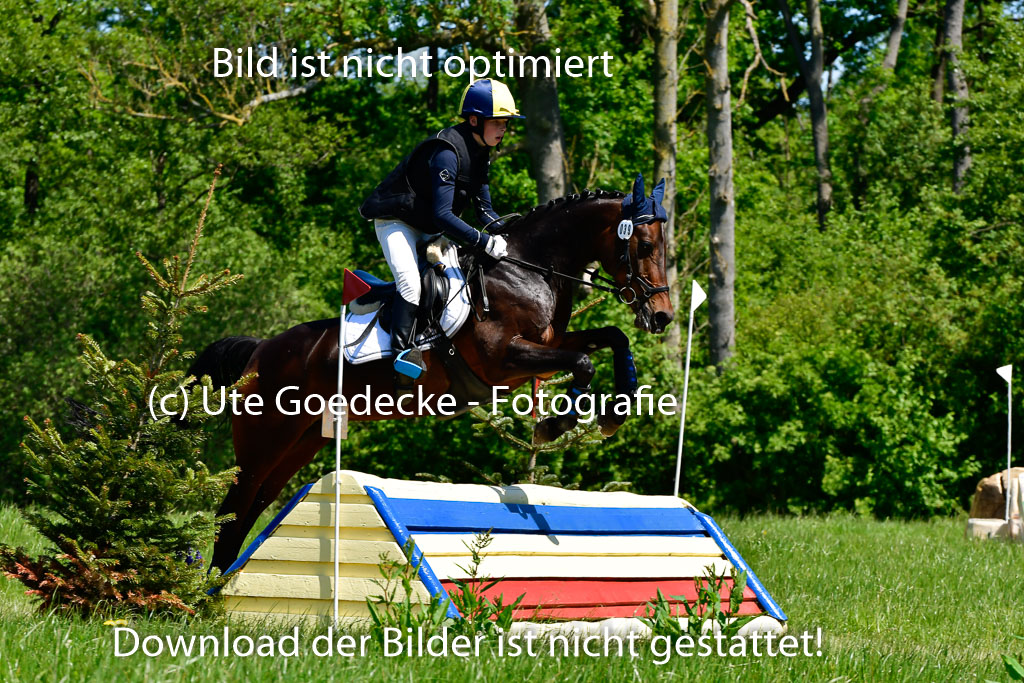 Goldene Schärpe Ponys in Hohen Luckow 1-4.6.23 | 04062023 Justus Seegel - Fantasy_07