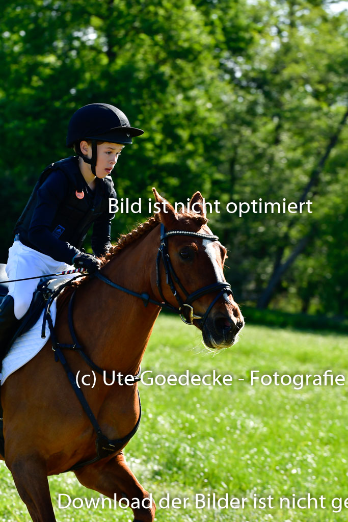 Goldene Schärpe Ponys in Hohen Luckow 1-4.6.23 | 04062023 Justus von Paepke - Double you_04 