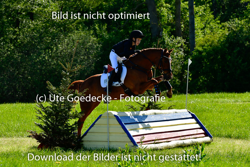 Goldene Schärpe Ponys in Hohen Luckow 1-4.6.23 | 04062023 Justus von Paepke - Double you_08 