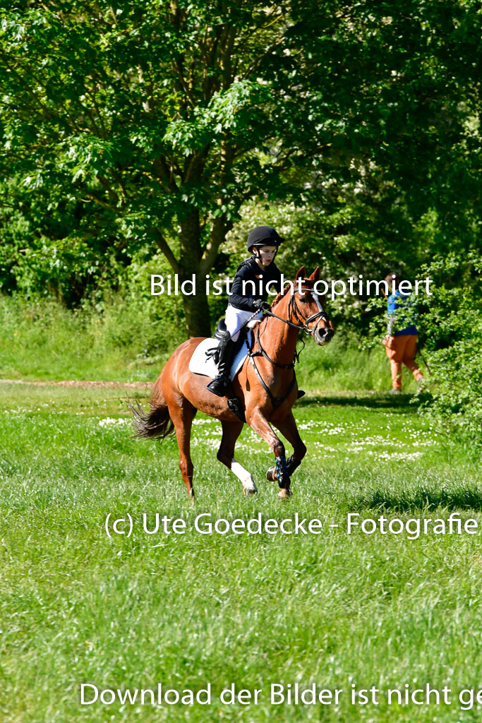 Goldene Schärpe Ponys in Hohen Luckow 1-4.6.23 | 04062023 Justus von Paepke - Double you_12 