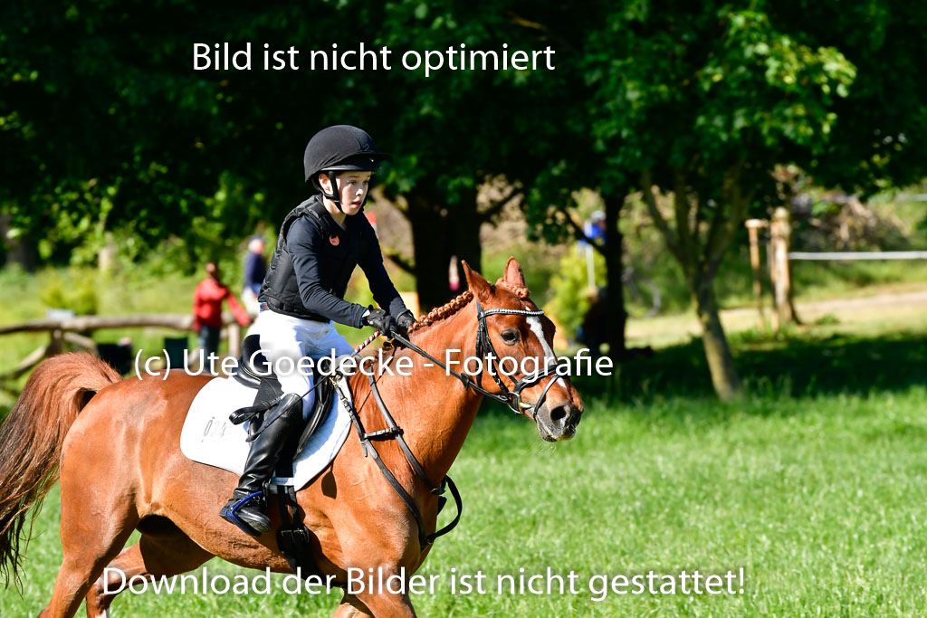 Goldene Schärpe Ponys in Hohen Luckow 1-4.6.23 | 04062023 Justus von Paepke - Double you_15 