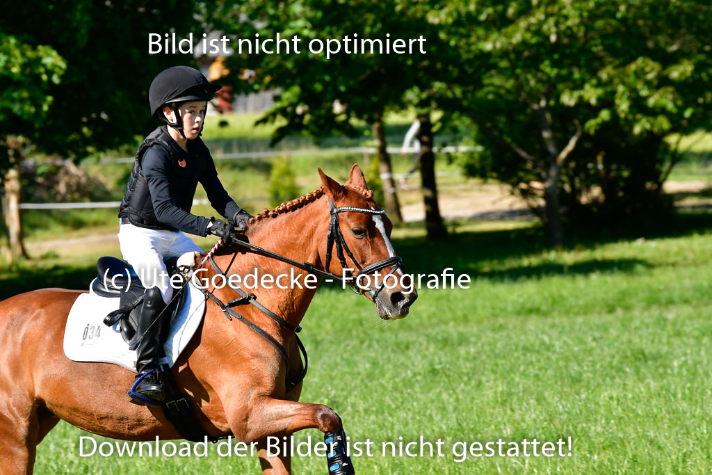 Goldene Schärpe Ponys in Hohen Luckow 1-4.6.23 | 04062023 Justus von Paepke - Double you_16 