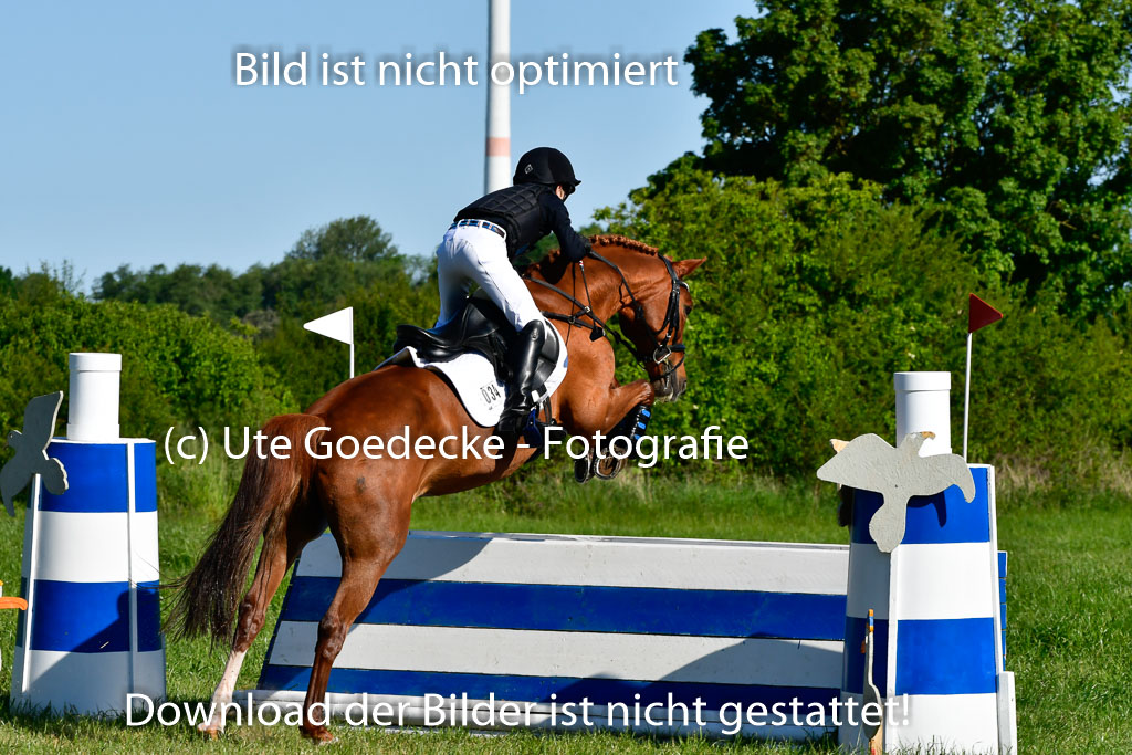 Goldene Schärpe Ponys in Hohen Luckow 1-4.6.23 | 04062023 Justus von Paepke - Double you_17 