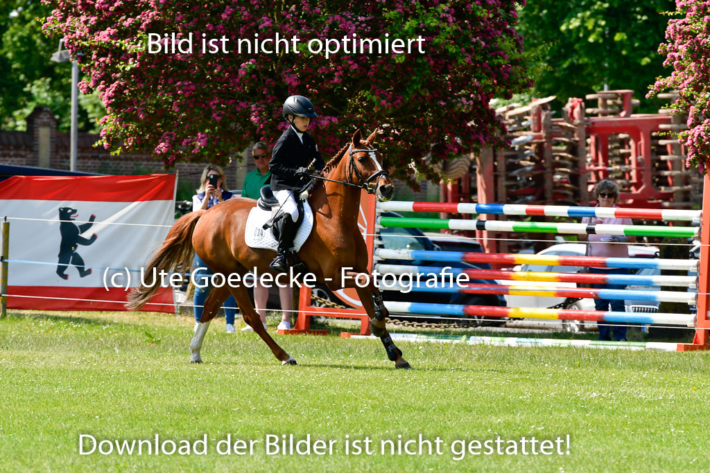 Goldene Schärpe Ponys in Hohen Luckow 1-4.6.23 | 04062023 Justus von Paepke - Double you_23 