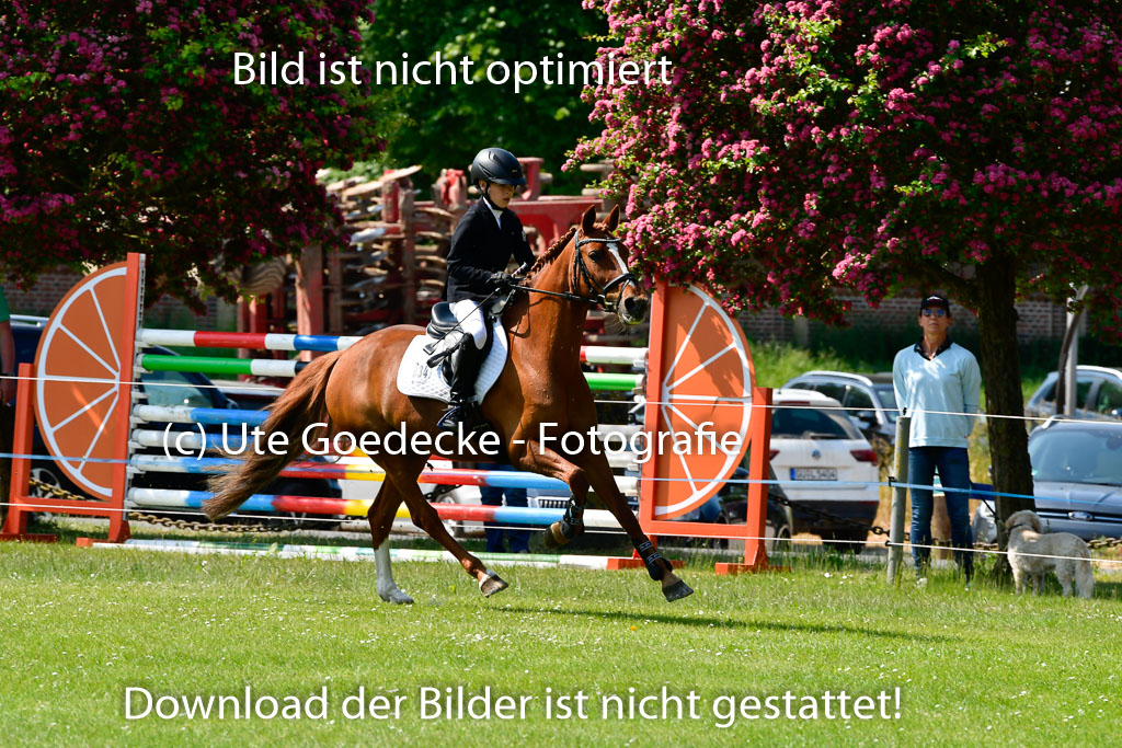 Goldene Schärpe Ponys in Hohen Luckow 1-4.6.23 | 04062023 Justus von Paepke - Double you_24 