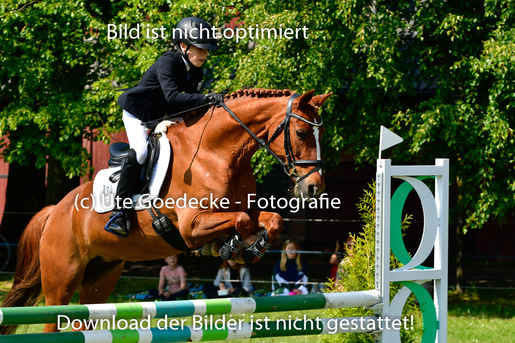 Goldene Schärpe Ponys in Hohen Luckow 1-4.6.23 | 04062023 Justus von Paepke - Double you_26 