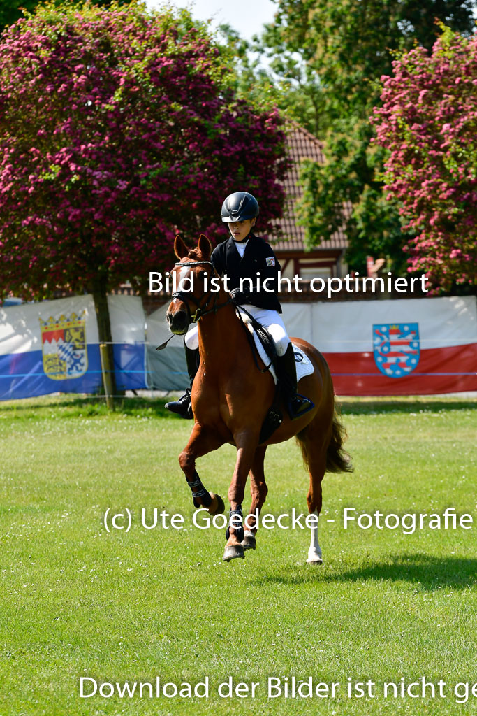Goldene Schärpe Ponys in Hohen Luckow 1-4.6.23 | 04062023 Justus von Paepke - Double you_30