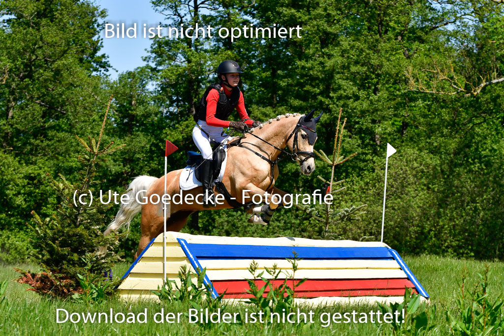 Goldene Schärpe Ponys in Hohen Luckow 1-4.6.23 | 04062023 Karlotta Walla - Lilian_09 