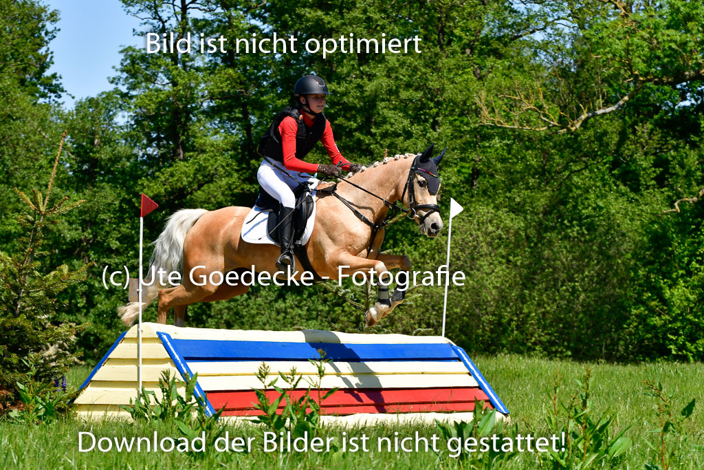 Goldene Schärpe Ponys in Hohen Luckow 1-4.6.23 | 04062023 Karlotta Walla - Lilian_10 