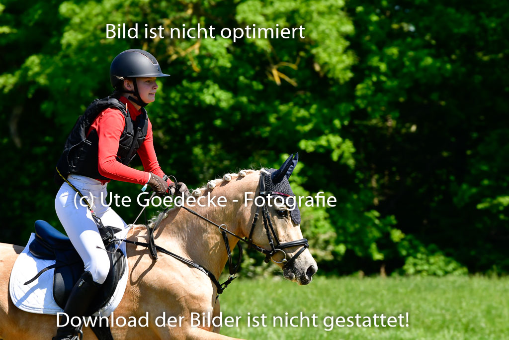 Goldene Schärpe Ponys in Hohen Luckow 1-4.6.23 | 04062023 Karlotta Walla - Lilian_11 