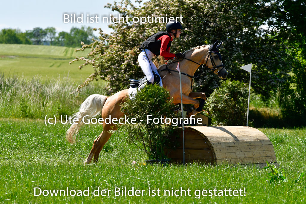 Goldene Schärpe Ponys in Hohen Luckow 1-4.6.23 | 04062023 Karlotta Walla - Lilian_12 