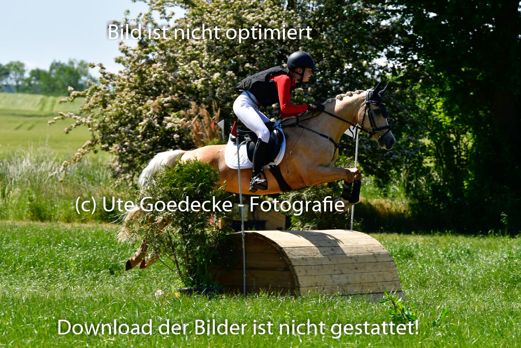 Goldene Schärpe Ponys in Hohen Luckow 1-4.6.23 | 04062023 Karlotta Walla - Lilian_13 