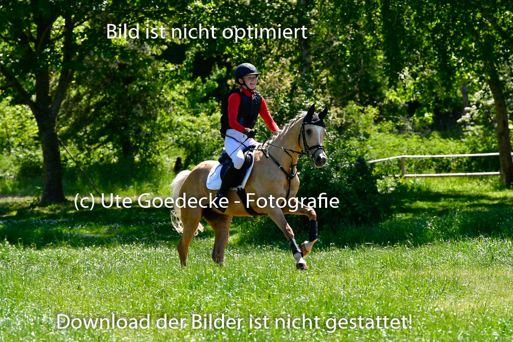 Goldene Schärpe Ponys in Hohen Luckow 1-4.6.23 | 04062023 Karlotta Walla - Lilian_14 