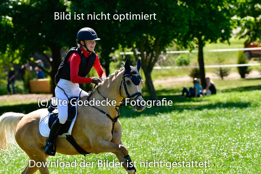 Goldene Schärpe Ponys in Hohen Luckow 1-4.6.23 | 04062023 Karlotta Walla - Lilian_17 