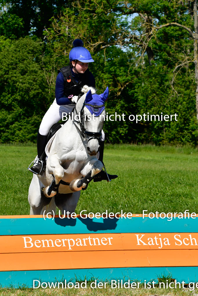 Goldene Schärpe Ponys in Hohen Luckow 1-4.6.23 | 04062023 Katharina Greim - Nino_01 