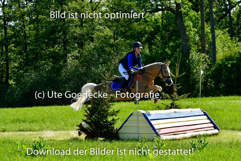 Goldene Schärpe Ponys in Hohen Luckow 1-4.6.23 | 04062023 Laura Scheidtweiler - El Amigo  Mio_06 