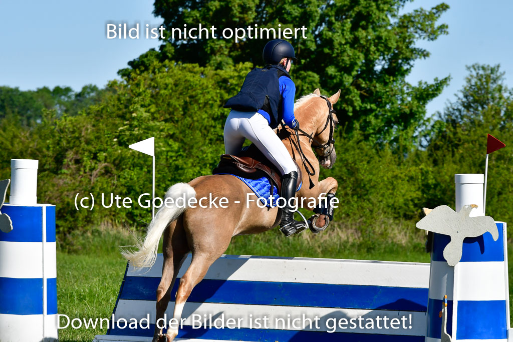 Goldene Schärpe Ponys in Hohen Luckow 1-4.6.23 | 04062023 Laura Scheidtweiler - El Amigo  Mio_15 