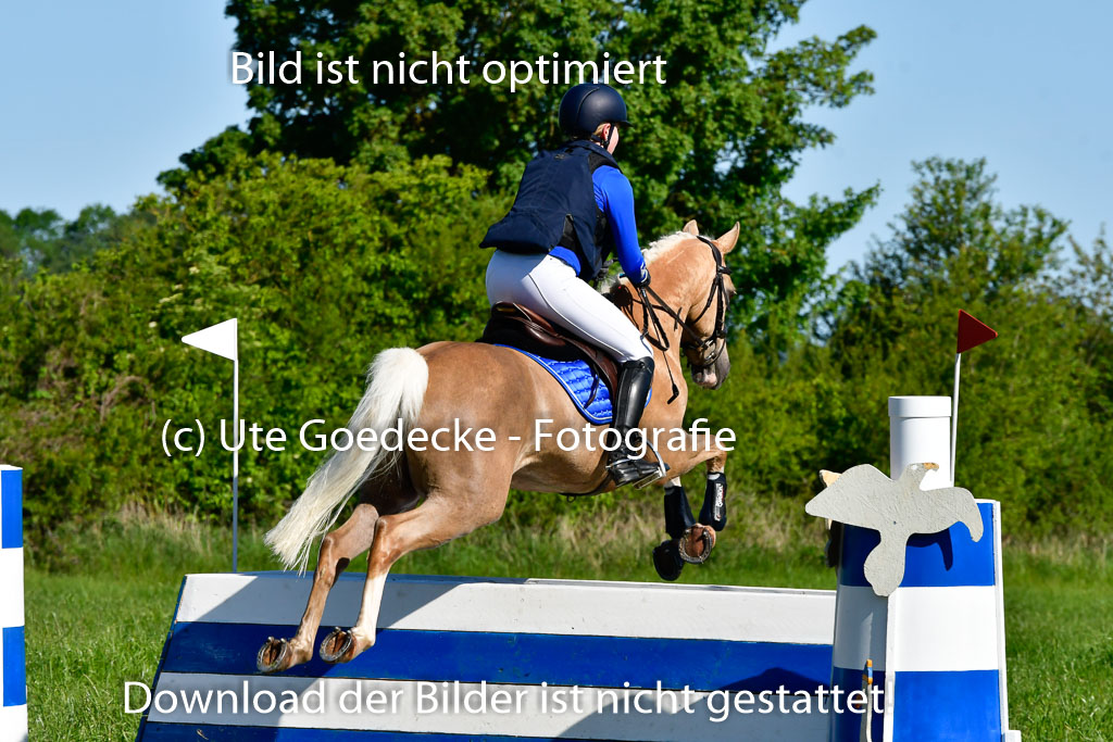 Goldene Schärpe Ponys in Hohen Luckow 1-4.6.23 | 04062023 Laura Scheidtweiler - El Amigo  Mio_16 