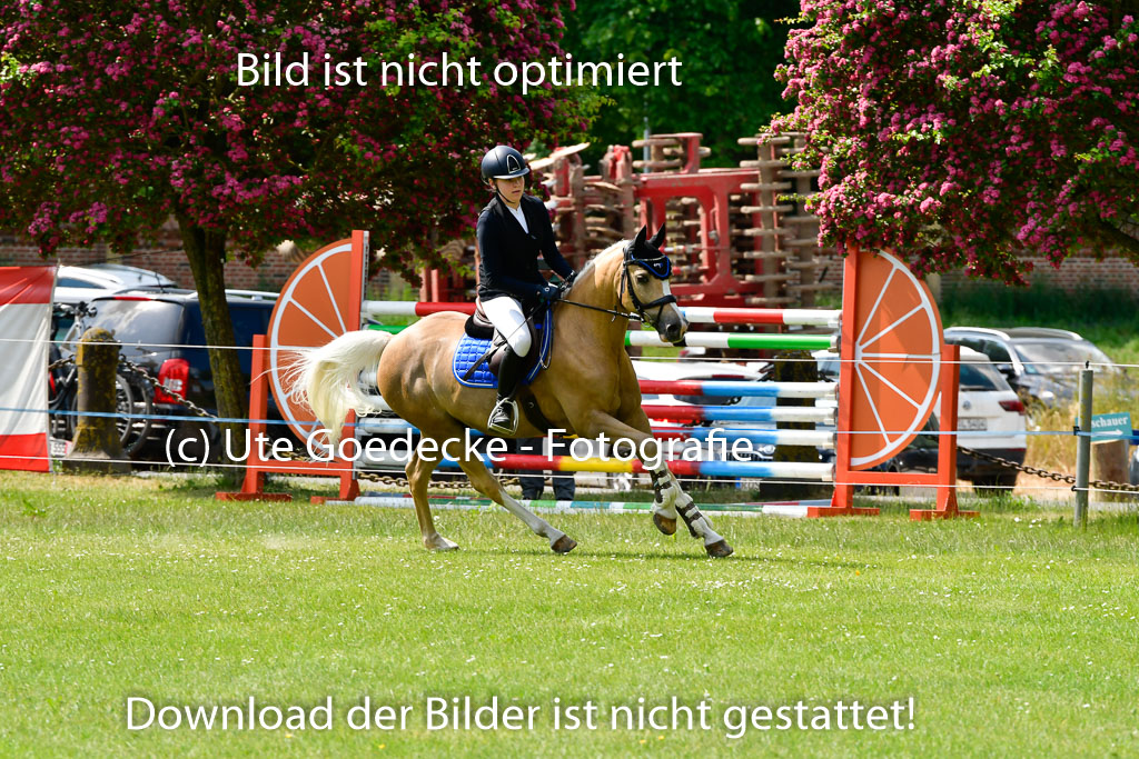 Goldene Schärpe Ponys in Hohen Luckow 1-4.6.23 | 04062023 Laura Scheidtweiler - El Amigo  Mio_20 