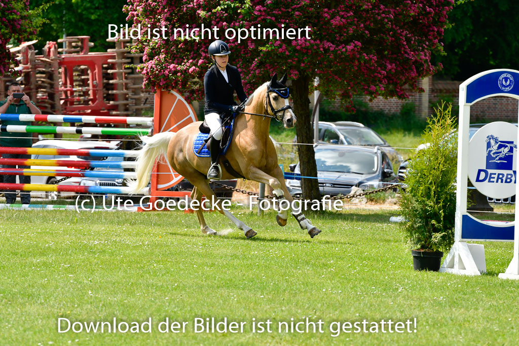 Goldene Schärpe Ponys in Hohen Luckow 1-4.6.23 | 04062023 Laura Scheidtweiler - El Amigo  Mio_21 