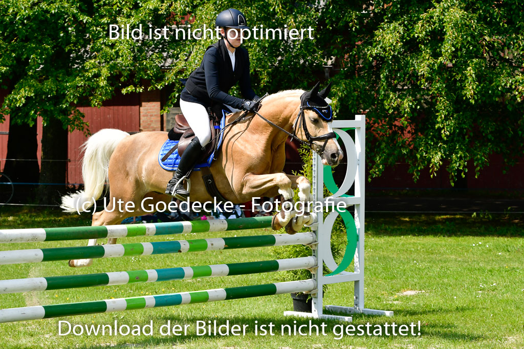 Goldene Schärpe Ponys in Hohen Luckow 1-4.6.23 | 04062023 Laura Scheidtweiler - El Amigo  Mio_25 